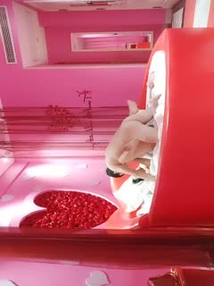 www中文在线-超清日韩电影在线